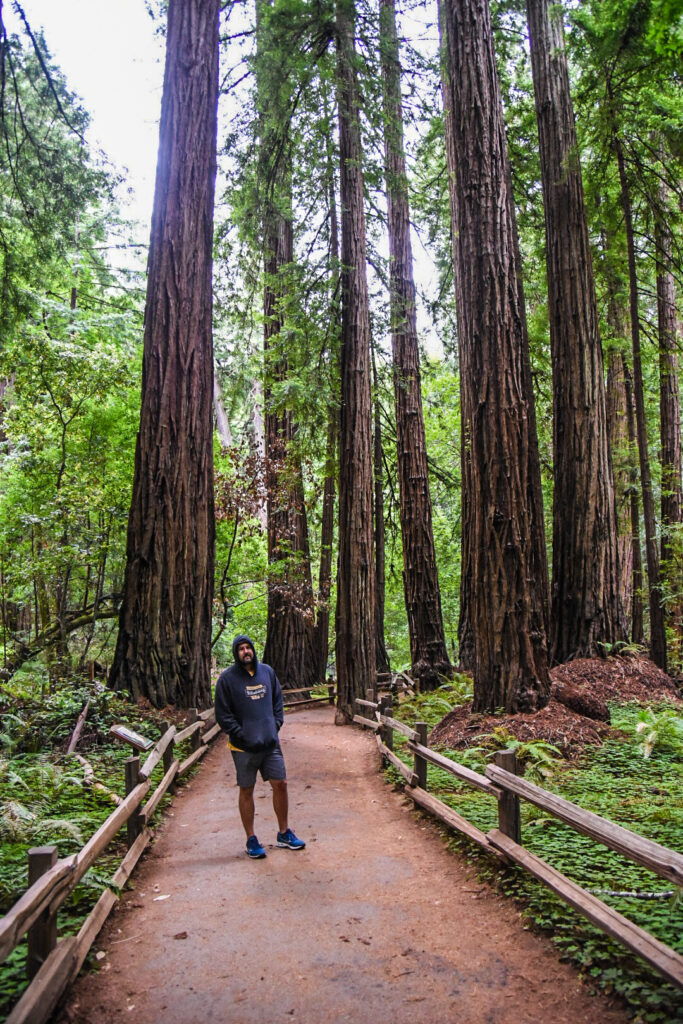 Muir Woods