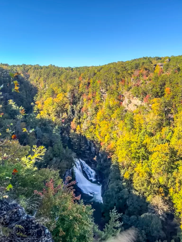 Wonders of Georgia 