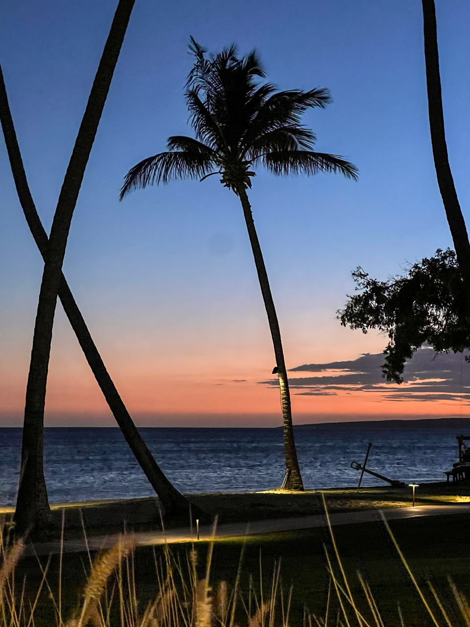 Caribbean & Central America Life List
