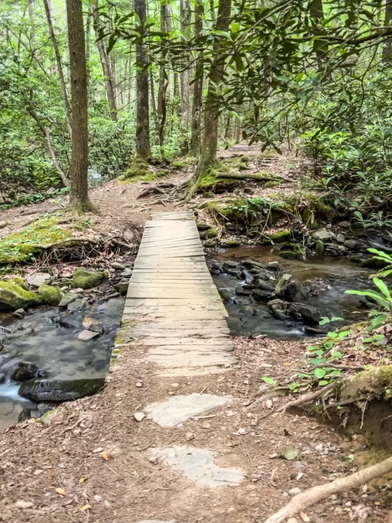 Hiking in the north georgia mountains 