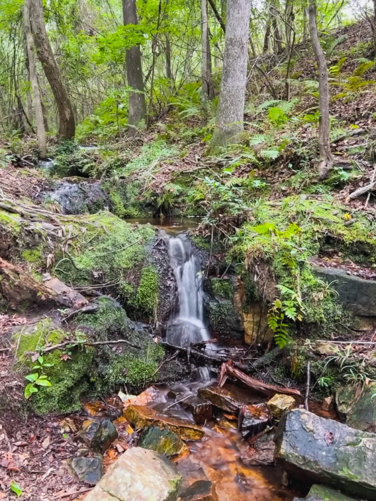 FD Roosevelt State Park