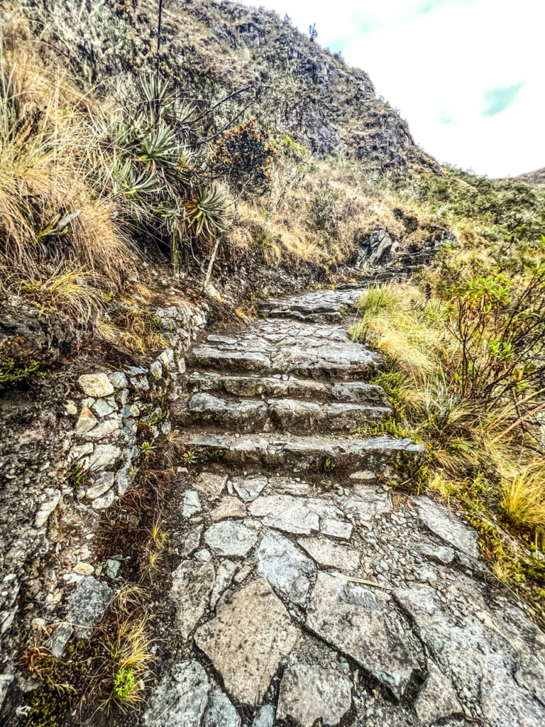 Day 3 of the Inca Trail: The Trek from Paqaymayu Camp to Wiñaywayna ...