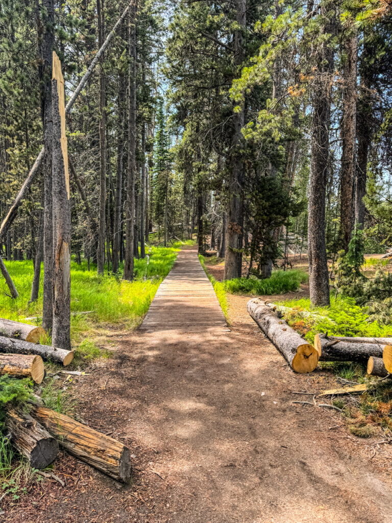 Yellowstone National Park