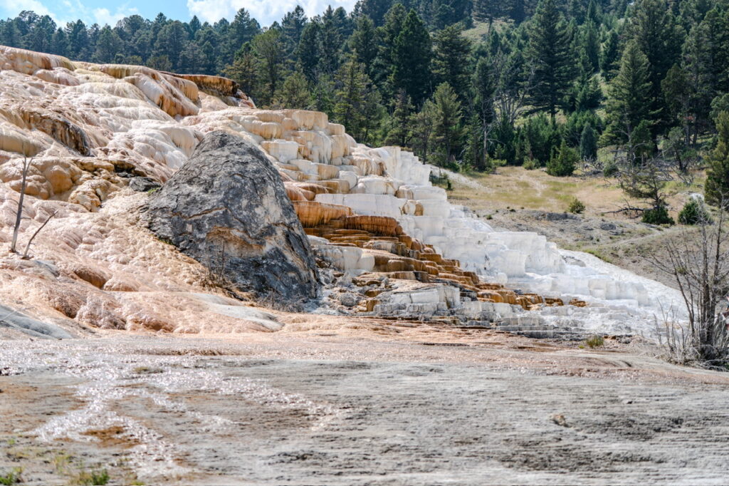 Yellowstone National Park Mammoth