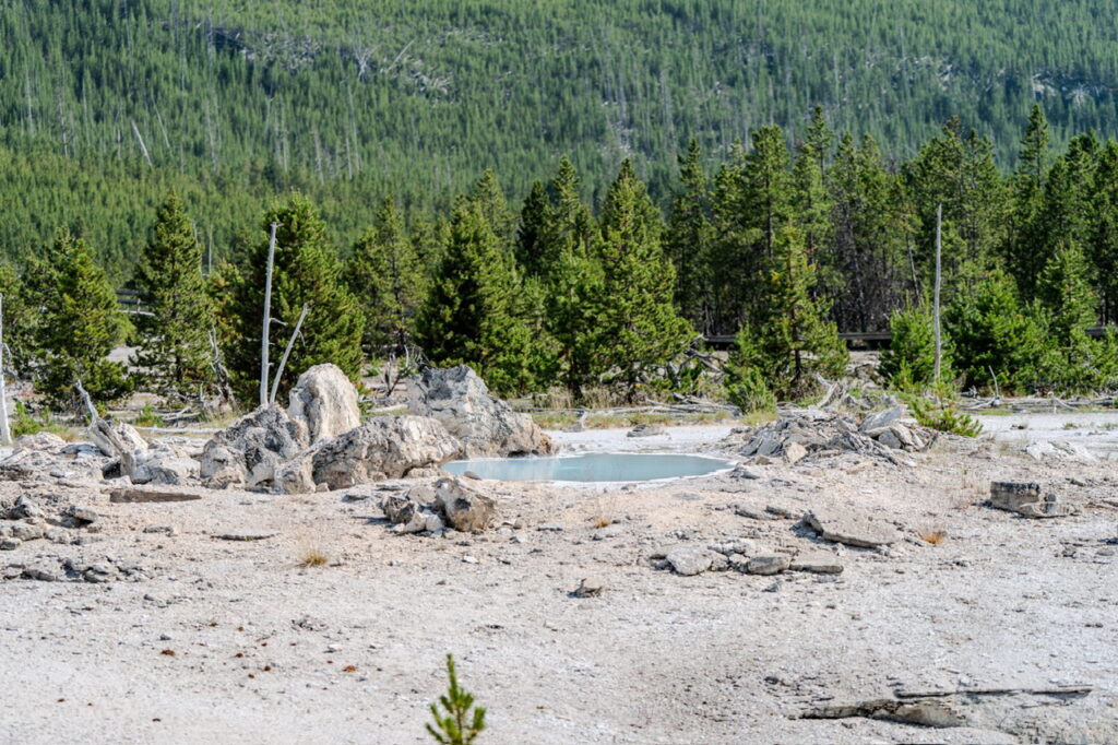 Yellowstone National Park Mammoth