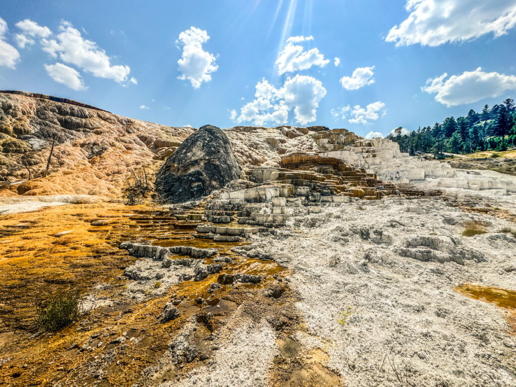 Yellowstone National Park Mammoth